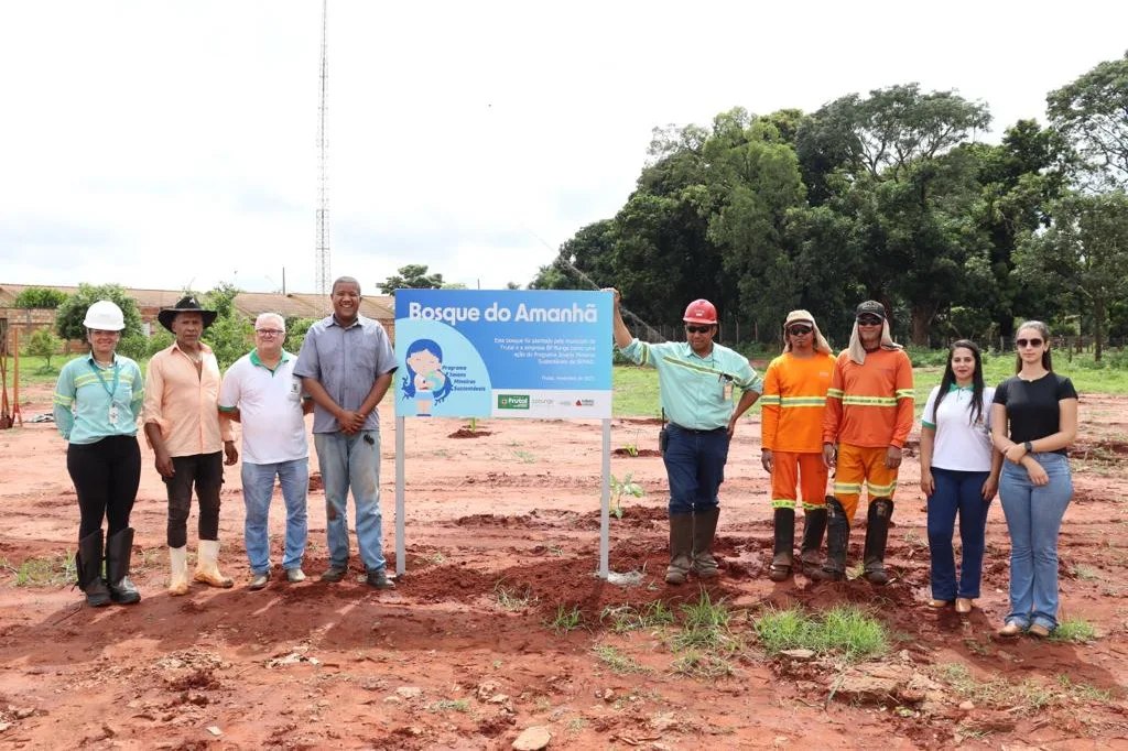 Prefeitura Planta Dezenas De Mudas Nativas E Frut Feras Para