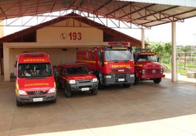 Bombeiros capturam cão pitbull no Princesa Isabel