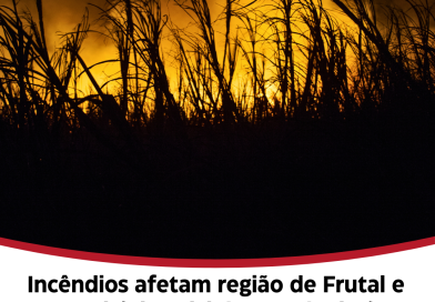 Incêndios afetam região de Frutal e municípios vizinhos; rodovia é interditada e animais morrem na região do Sapé