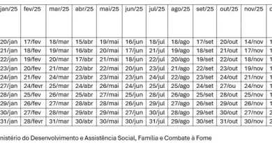 Calendário do Bolsa Família em 2025 está disponível